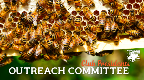 Washington State Beekeepers Honey Bee Association Nonprofit Outreach Committee Local Beekeeping Club WA Presidents Board of Directors