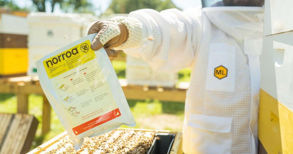 WSDA Approves 'Norroa' for Varroa Mite Treatment