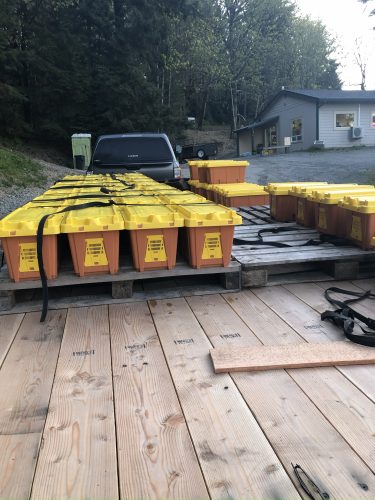 Woods Bee Company Co Nucs Bees Bee Honey For Sale Queen Centralia Washington WASBA Beekeeper Bee Keeping Organization Classifieds