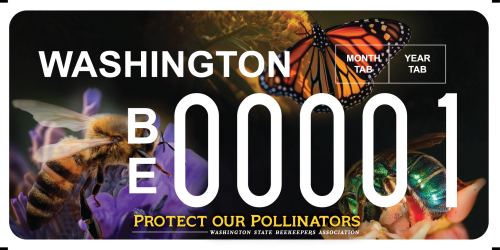 Washington WA Pollinator Pollination Honey Bee Plate License Plate Custom Drivers License DOL Order Pollinate Auction Bid Now Win