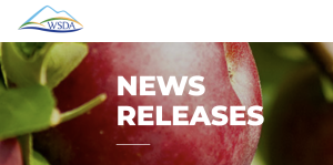 Washington Bee Atlas finds 17 new state bee records; rediscovers 12 species last recorded in the state as long as 144 years ago