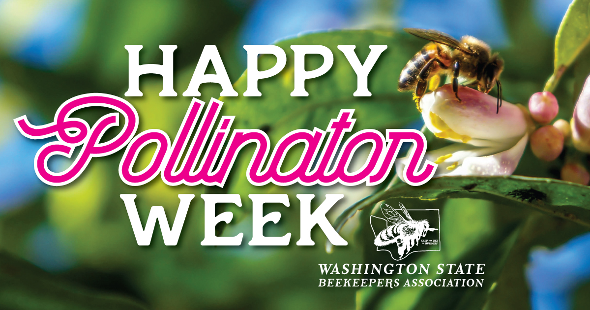 Pollinator Week Email Happy Pollinator Week 2026! - Washington State Beekeepers Association